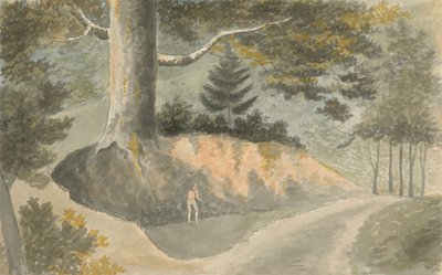 Strada nella foresta da Edward Francis Burney