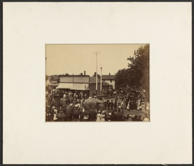 [Elefanti a spasso per la città, Maple City] da Edward H. Hart