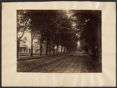[Strada alberata] da Edward H. Hart