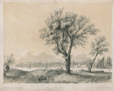 Salici sul Tamigi a Battersea da Edward Hassell