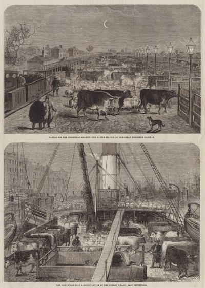 Bovini per il mercato di Natale da Edward Hull