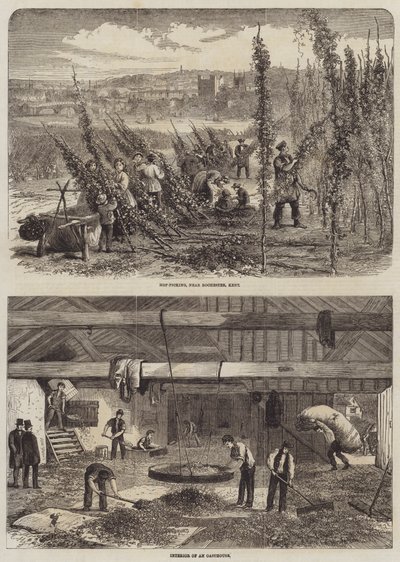 Raccolta del luppolo nel Kent da Edward Hull