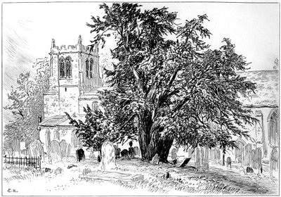 Chiesa di Snitterfield, Snitterfield, Warwickshire da Edward Hull