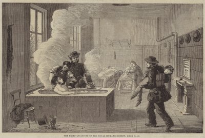 La casa di accoglienza della Royal Humane Society, Hyde Park da Edward Hull