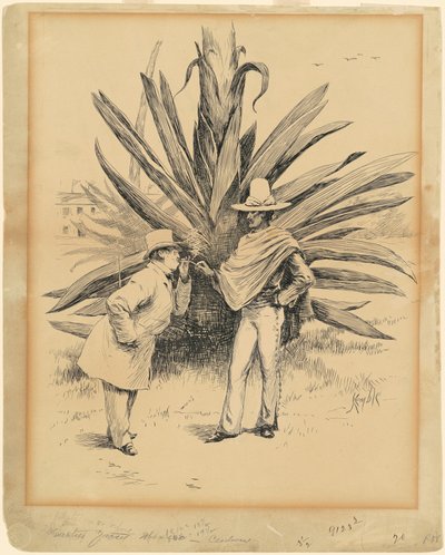 Cactus dal Messico da Edward Kemble