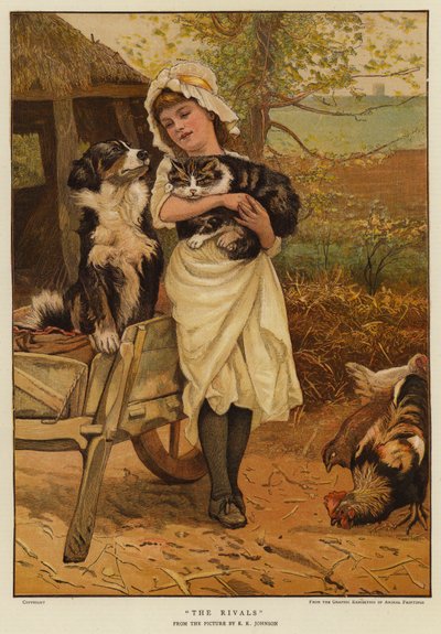 I rivali da Edward Killingworth Johnson