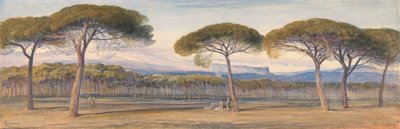 Veduta dei Boschi di Pini Sopra Cannes da Edward Lear