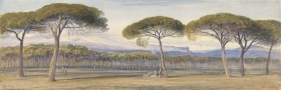 Una Vista dei Boschi di Pini Sopra Cannes da Edward Lear