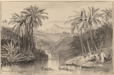 Avisavella, Ceylon, 1884-1885 da Edward Lear