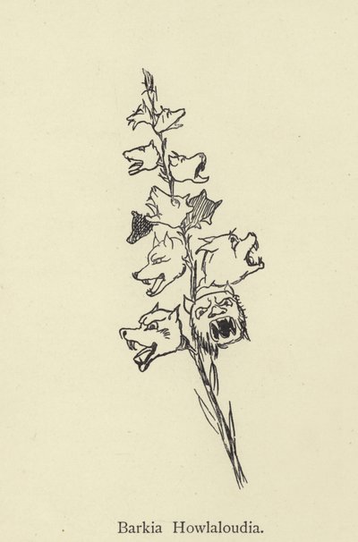 Barkia Howlaloudia da Edward Lear
