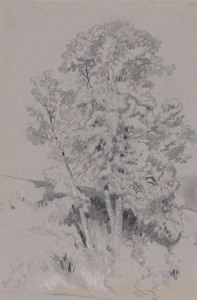 Burpham 4 ottobre 1834 da Edward Lear
