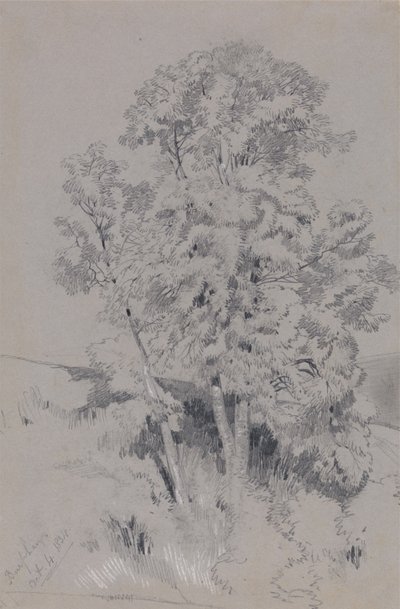 Burpham, 4 ottobre 1834 da Edward Lear