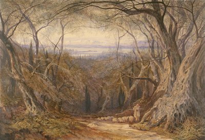 Corfù da Edward Lear