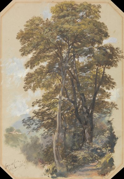Corpo di Cava, 28 June 1838 da Edward Lear