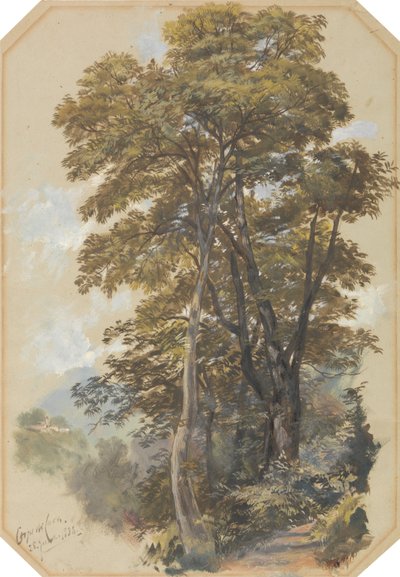 Corpo di Cava, 28 June 1838 da Edward Lear