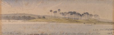 Isola di Dhoura da Edward Lear
