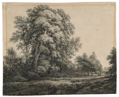 Paesaggio forestale da Edward Lear