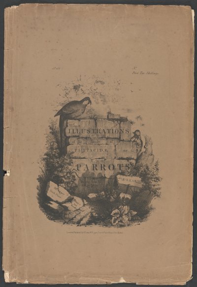 Illustrazioni della famiglia dei Psittacidae, ovvero dei pappagalli, Parte 1: Copertina in folio, Frontespizio, Pagina di dedica, Pagina degli abbonati da Edward Lear