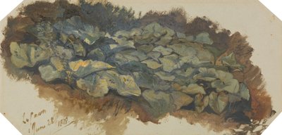 La Cava da Edward Lear