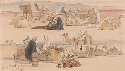 Vicino a Suez, ore 13.00, 16 gennaio 1849 (48) da Edward Lear