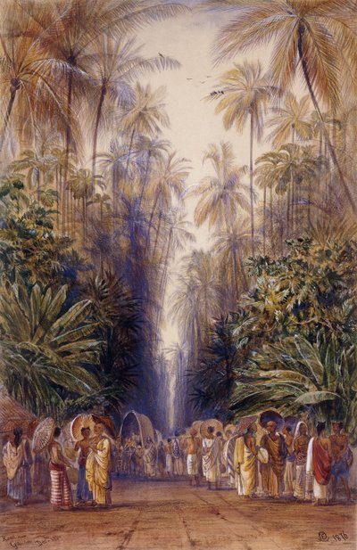 Sulla strada per Galle, Ceylon da Edward Lear