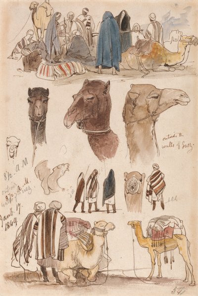 Fuori dalle mura di Suez, ore 8:30 del mattino, 17 gennaio 1849 (54) da Edward Lear