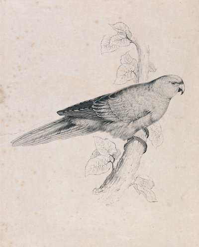  da Edward Lear