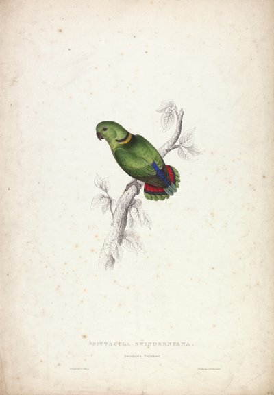  da Edward Lear