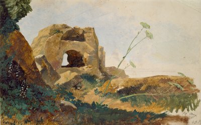 Studio di rocce e fogliame, Agrigento Girgenti, Sicilia, 1847 da Edward Lear