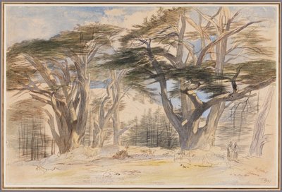 I cedri del Libano da Edward Lear