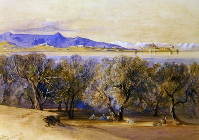 La cittadella da Edward Lear