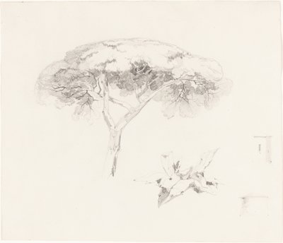 Pino Ombrello e Altri Studi da Edward Lear
