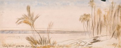 Svantaggi di Halfeh da Edward Lear