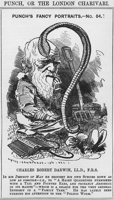 Charles Darwin, ritratti di fantasia di Punch, n. 54, illustrazione da 