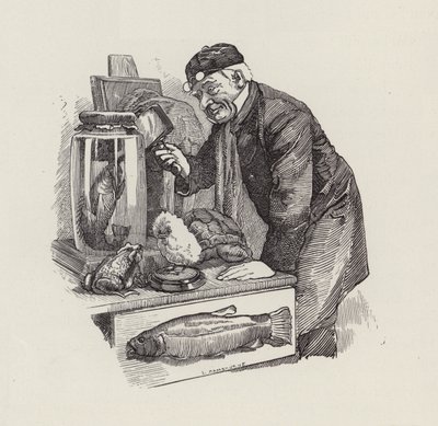 Illustrazione per The Water-Babies di Charles Kingsley da Edward Linley (after) Sambourne