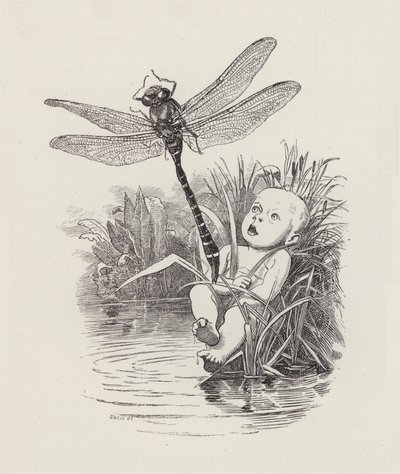 Illustrazione per The Water-Babies di Charles Kingsley da Edward Linley (after) Sambourne