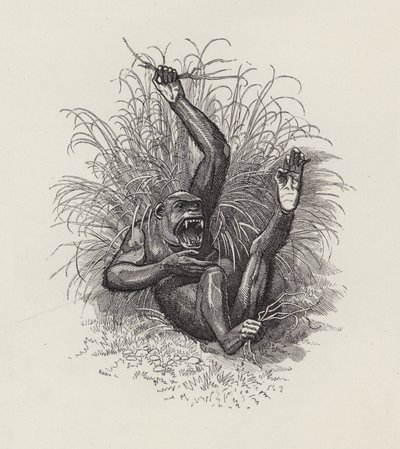 Illustrazione per The Water-Babies di Charles Kingsley da Edward Linley (after) Sambourne