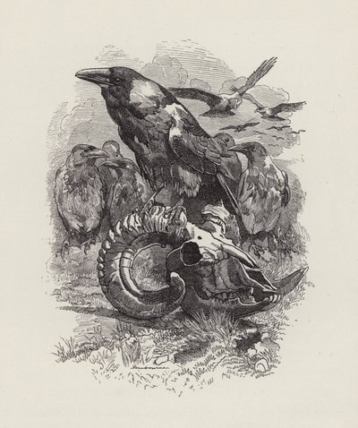 Illustrazione per The Water-Babies di Charles Kingsley da Edward Linley (after) Sambourne