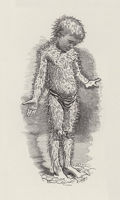 Illustrazione per The Water-Babies di Charles Kingsley da Edward Linley (after) Sambourne