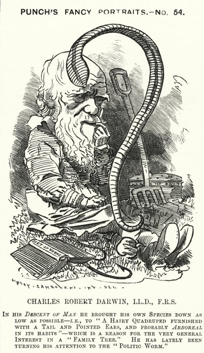 Charles Darwin, naturalista e biologo inglese (incisione) da Edward Linley (after) Sambourne