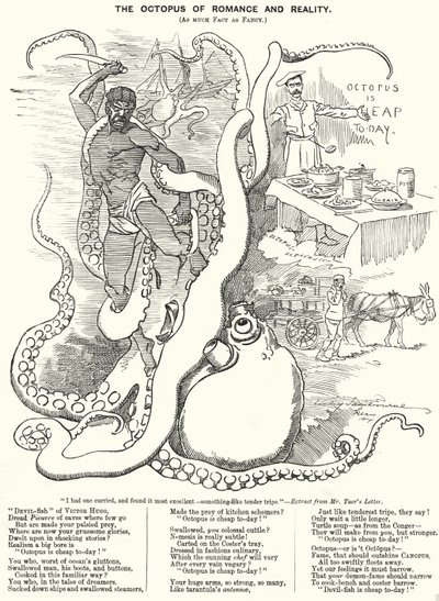 Cartone animato Punch: Il polpo del romanzo e della realtà (incisione) da Edward Linley (after) Sambourne