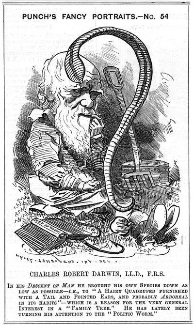 Charles Darwin (1809-1882) naturalista inglese. Evoluzione per selezione naturale. Caricatura di Edward Linley Sambourne (1844-1910) nella serie Fancy Portrait in Punch, Londra 1881, l