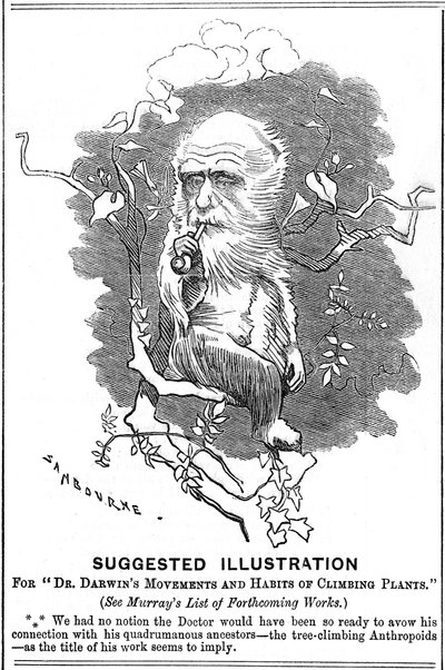 Charles Darwin, naturalista inglese, 1875 da Edward Linley Sambourne