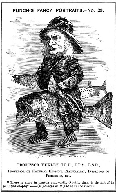 Thomas Henry Huxley, biologo inglese, 1881 da Edward Linley Sambourne