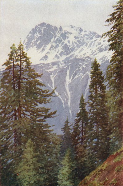 Kotwal dalla foresta sopra Kangan, Valle di Sind da Edward Mary Joseph Molyneux