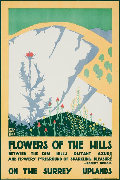 Fiori delle colline, sugli altipiani del Surrey da Edward McKnight Kauffer