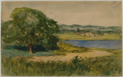 Paesaggio da Edward Mitchell Bannister