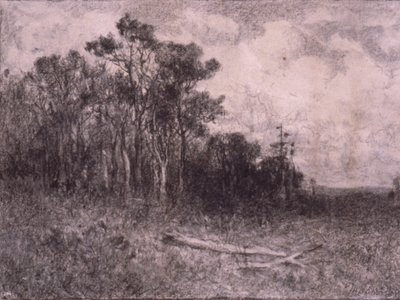 Paesaggio, scena di bosco da Edward Mitchell Bannister