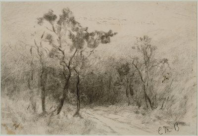 Paesaggio con sentiero (#51), c. 1880s da Edward Mitchell Bannister