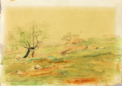 Neutakonkanut da Edward Mitchell Bannister